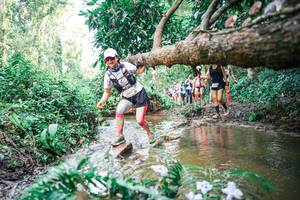 BIB: 
                            <button type="button" onclick="openModal(25516125)" class="btn btn-primary btn-sm float-right btn-popup" data-toggle="modal" data-target=".modal-high-quality">
                        <i class="fas fa-shopping-cart"></i> Add to Cart
                    </button>
                                            <button type="button" onclick="isThisMe(25516125, true)" class="btn btn-success btn-sm float-right btn-popup btn-isme hidden" data-toggle="tooltip" data-placement="bottom" title="นี่คือรูปของคุณใช่ไหม คลิกที่นี่เพื่อเอาเข้าอัลบั้ม">
                        <i class="fas fa-plus"></i> Add to album
                    </button>
                    <button type="button" onclick="isThisMe(25516125, false)" class="btn btn-warning btn-sm float-right btn-popup btn-isnotme hidden">
                        <i class="fas fa-ban"></i> Remove from album
                    </button>